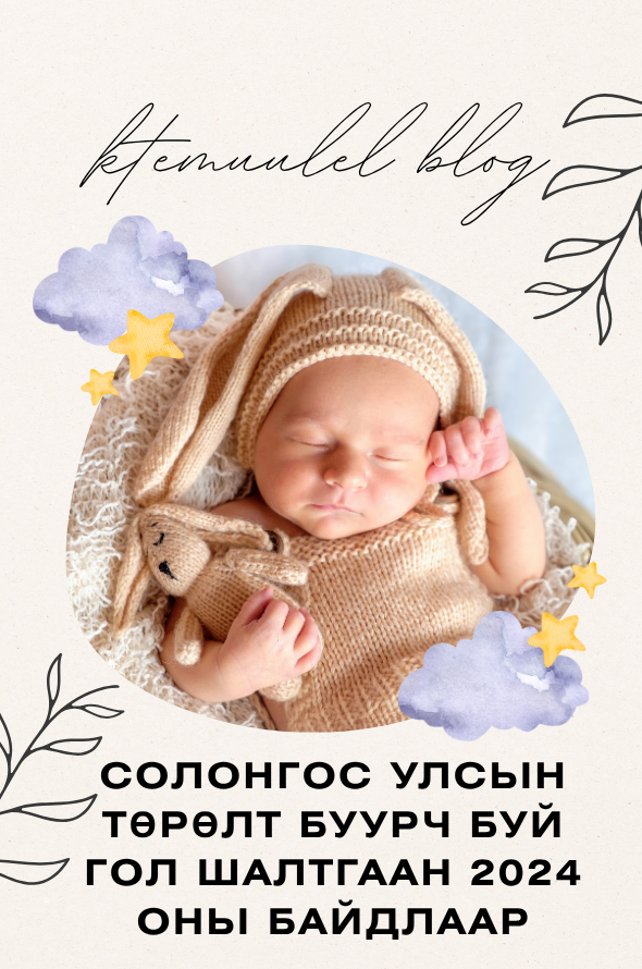 Солонгос улсын төрөлт буурч буй гол шалтгаан 2024 оны байдлаар